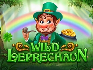 Wild Leprechaun screenshot